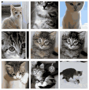 Example of the thumbnail gallery plugin