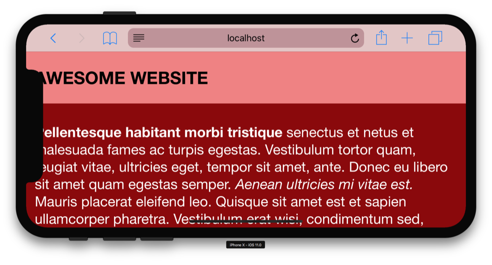 iPhone X landscape viewport-fit=cover