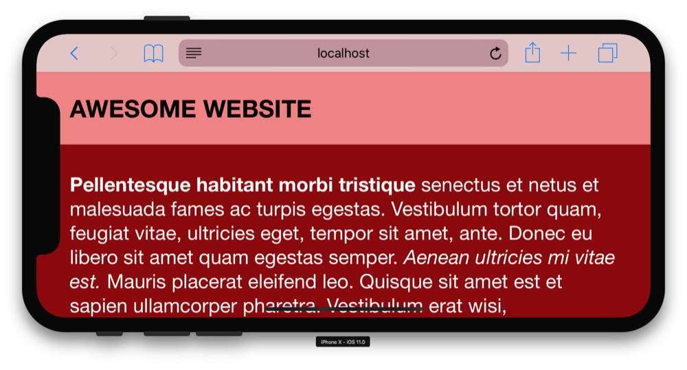 iPhone X landscape fixed