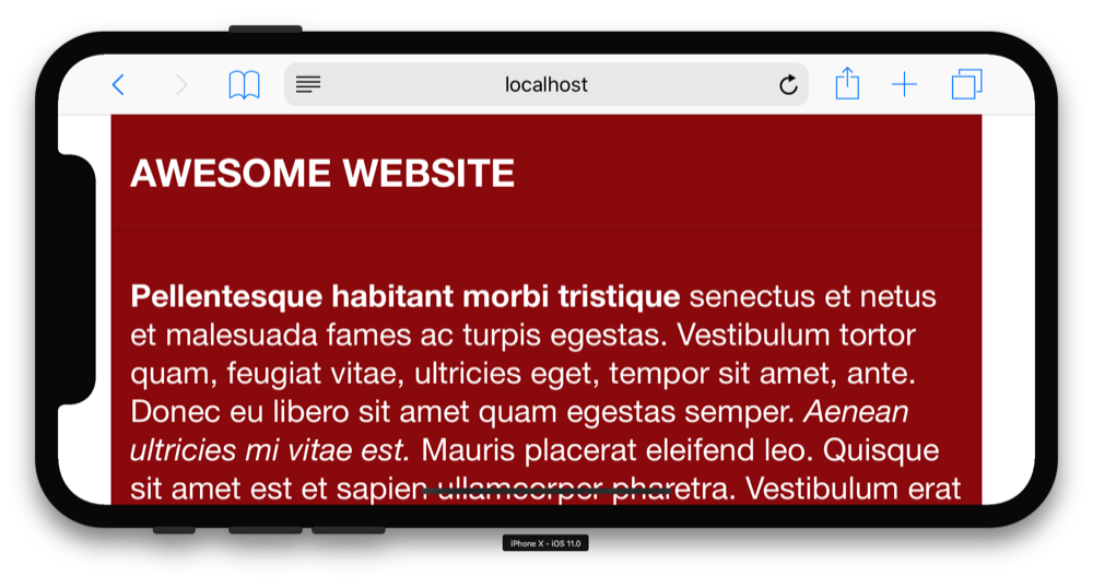 iPhone X landscape pillarboxes